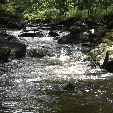 Rur bei Monschau, © Monschau-Touristik