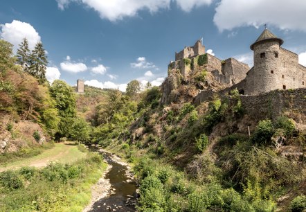 Blick vom Lieserpfad auf die Manderscheider Burgen, © Dominik Ketz