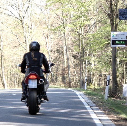 Silent Rider, © Nationalpark Eifel, M. Weisgerber