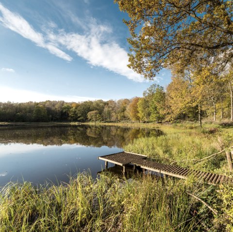 Vulkamaar-Pfad: Windsborn-Kratersee, © Eifel Tourismus GmbH - D. Ketz