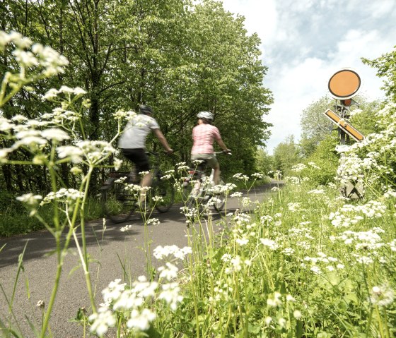 Ursprünglich Bahntrasse, heute Maare-Mosel-Radweg, © Eifel Tourismus GmbH, D. Ketz