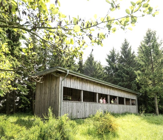 Rotwildaussichtsempore Dreiborn, © Dominik Ketz & Nordeifel Tourismus GmbH