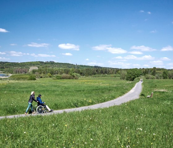 Weg am Jungfernweiher Ulmen, © Natur- und Geopark Vulkaneifel