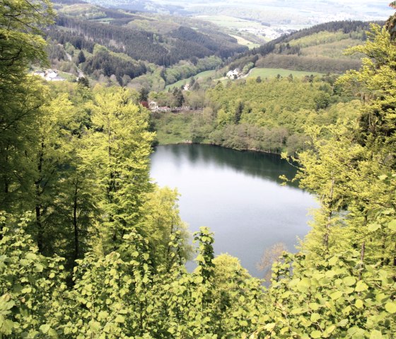 Gemündener Maar mit Bergen, © GesundLand Vulkaneifel