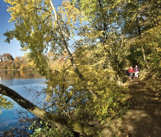 Wandern um das Maar im Herbst, © © GesundLand Vulkaneifel / D. Ketz