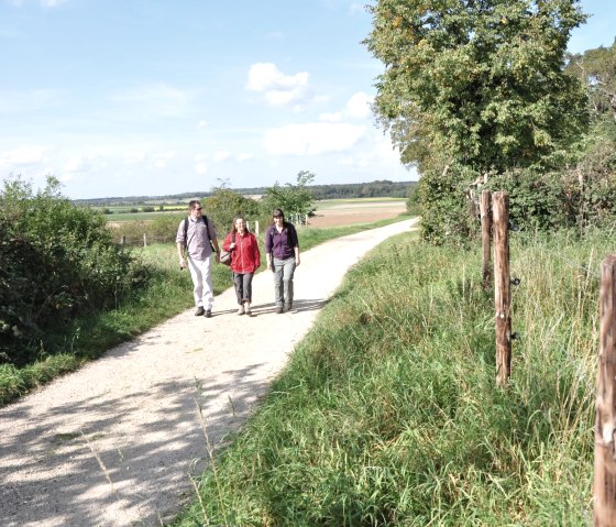 Römerkanal-Wanderweg Etappe 6, © Wandermagazin/ N. Glatter