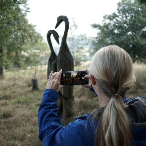 Holzskulptur im Landschaftspark in Ditscheid, © Laura Rinneburger