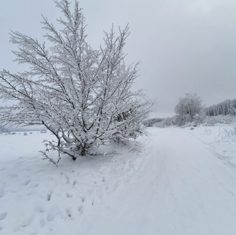 Winter im GesundLand Vulkaneifel, © GesundLand Vulkaneifel GmbH