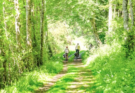 Wander- Radweg Wacholderschutzgebiet, © TI Kelberg