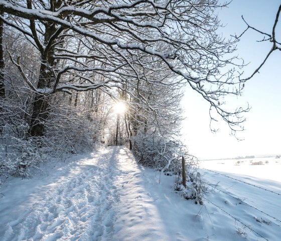 Winterwanderweg Eifel, © Eifel Tourismus GmbH, D, Ketz