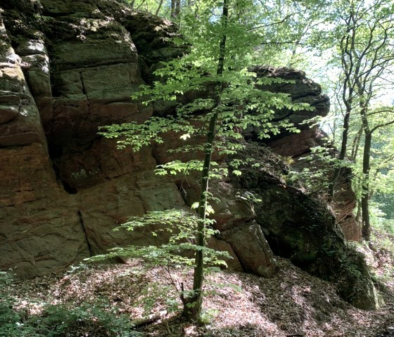 randonnée Trierweiler Sirzenich, © Deutsch Luxemburgische Tourist Information