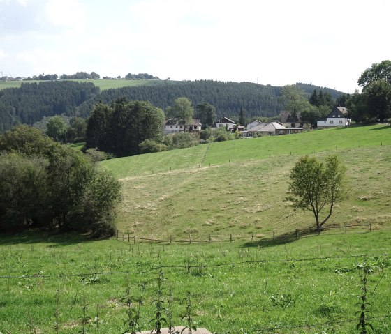 Blick auf zur Mühle, © Nordeifel Tourismus GmbH & Ferienhaus eifel-mökki