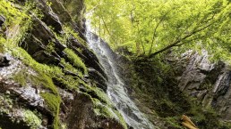 Der Klidinger Wasserfall, © Eifel Tourismus GmbH, AR - shapefruit AG