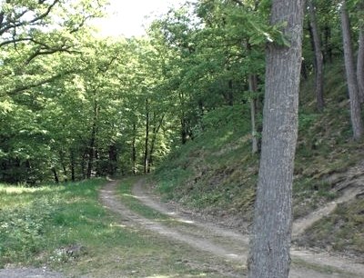 oberer-hillertweg, © Stadt Mayen