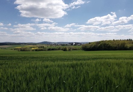 Blick auf Nachtsheim, © Foto: Svenja Schulze-Entrup, Quelle: Touristik-Büro Vordereifel