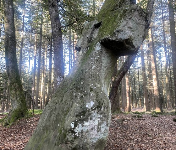 Forêt de Fraubillenkreuz, © Felsenland Südeifel Tourismus GmbH / Anna Carina Krebs