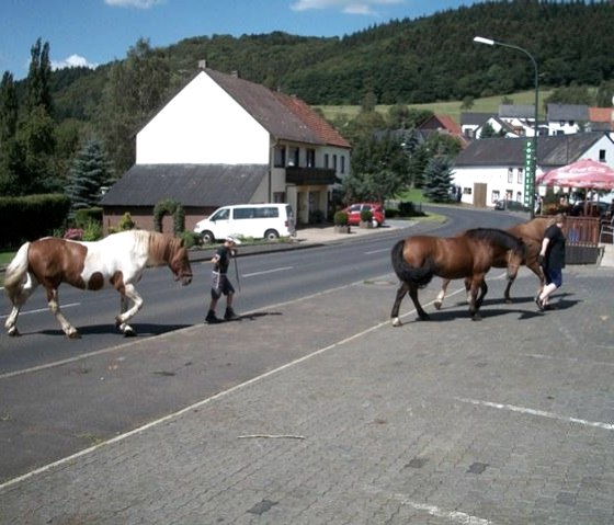 Urlaub Eifel