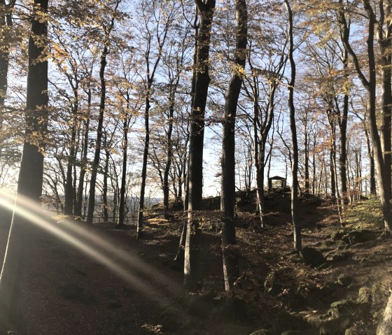 Mühlsteinhöhlen Hohenfels Essingen, © Touristik GmbH Gerolsteiner Land, Leonie Post