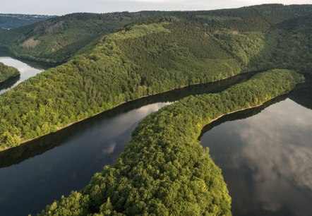 Gastgeber Nationalpark Eifel, © Eifel Tourismus/ D. Ketz