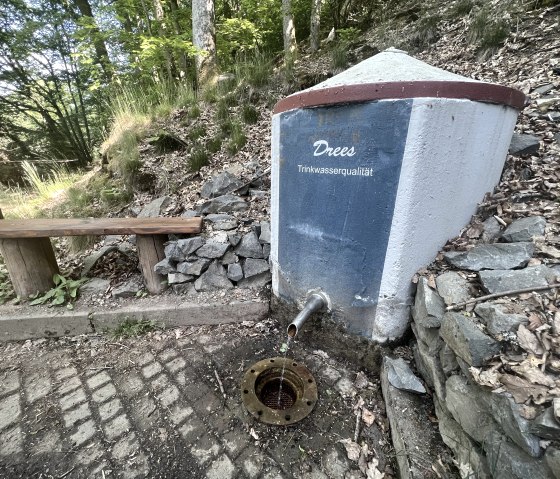 Am Lieserpfad - der Üdersdorfer Drees, © GesundLand Vulkaneifel GmbH