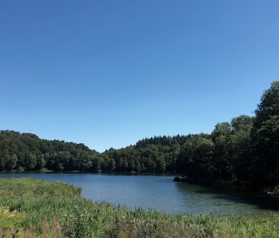 Holzmaar, © Martin Schenk