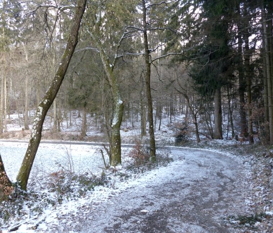 Spazierweg am Waldrand, © Tourist-Information Islek