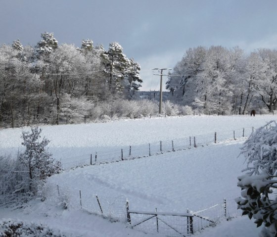 Winter 2023___, © Nordeifel Tourismus GmbH & Ferienwohnung Charly