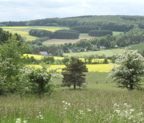 Lissendorf im Sommer, © Gertrud Wieser