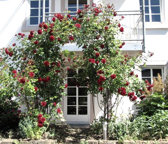 Terrasse Ferienhaus