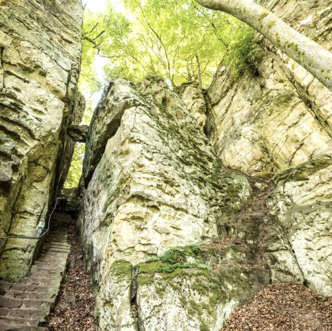 Natur Eifel: Teufelsschlucht im Naturpark Südeifel, © Rheinland-Pfalz Tourismus GmbH/D. Ketz