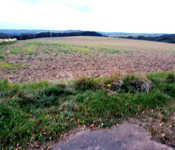 Flur-Panorama, Laufeld