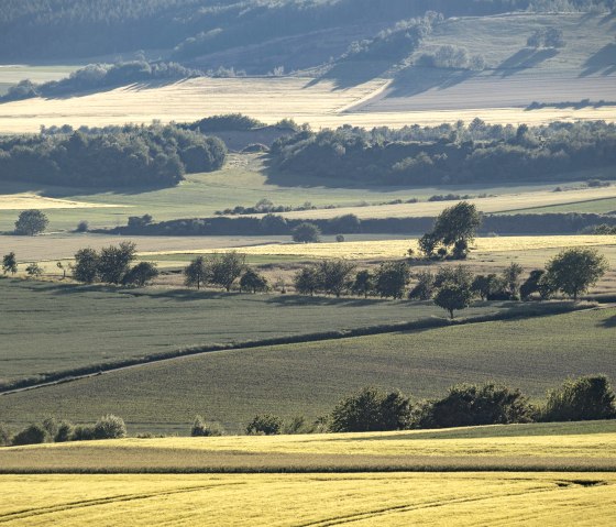 Landschap, © Kappest