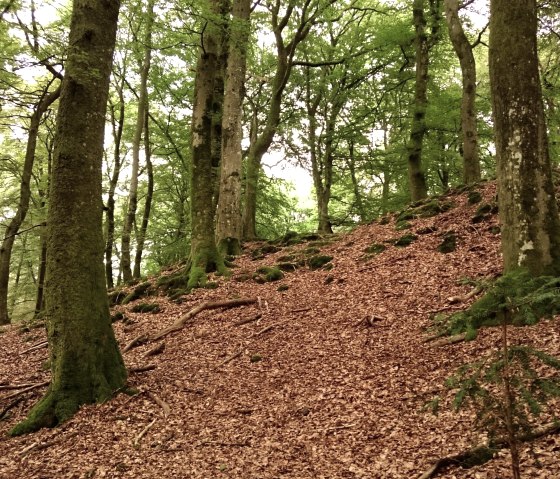 Hauptwall der Wikingerburg von der Außenseite, © Felsenland Südeifel Tourismus GmbH