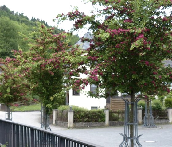 Der Dorfplatz in Acht, © Foto: Verbandsgemeinde Vordereifel, Quelle: Touristik-Büro Vordereifel