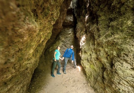 Blick nach oben, © Eifel Tourismus GmbH, AR - shapefruitAG