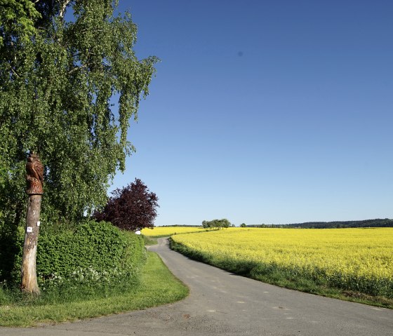 Wiesbachtalweg in Weiler/ Eifel, © Laura Rinneburger