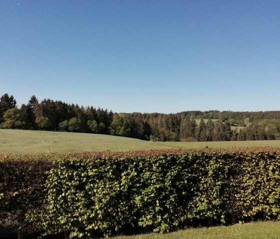 Naturblicke Ferienwohnung Eifelzeiten, © Ferienwohnung Eifelzeiten,Gossen