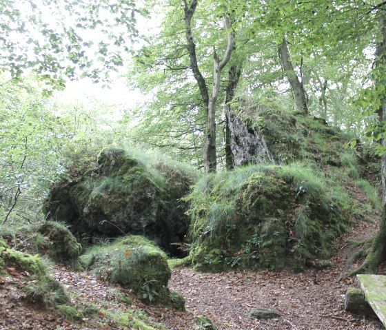 Der Ernstberg, © Natur- und Geopark, A. Kauth