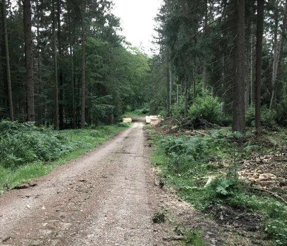 Wandern rund um den Hof Grindelborn