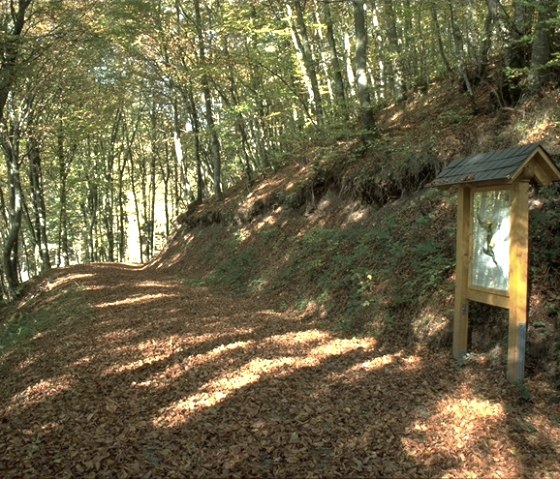 Gewässerlehrpfad, © TI Bitburger Land