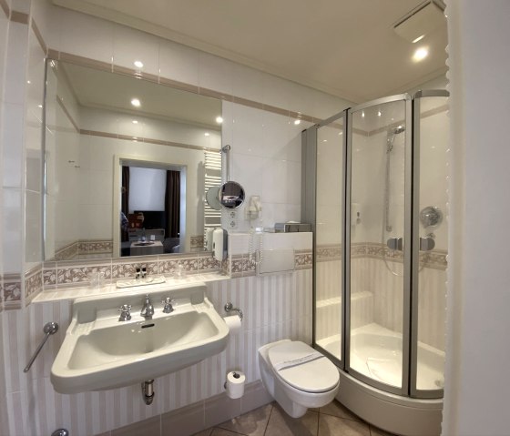 Salle de bain standard Douche Exemple