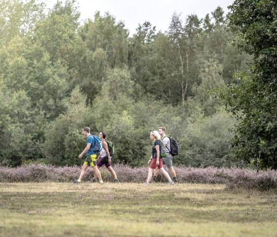 Drover Heide, © Dennis Stratmann | Kreis Düren