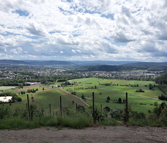 Blick auf Wittlich