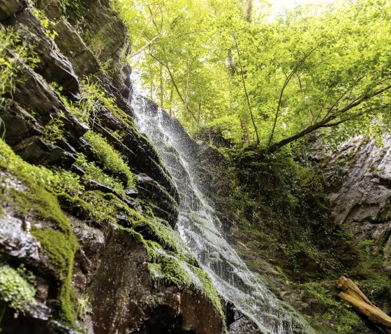 Der Klidinger Wasserfall, © Eifel Tourismus GmbH, AR - shapefruit AG