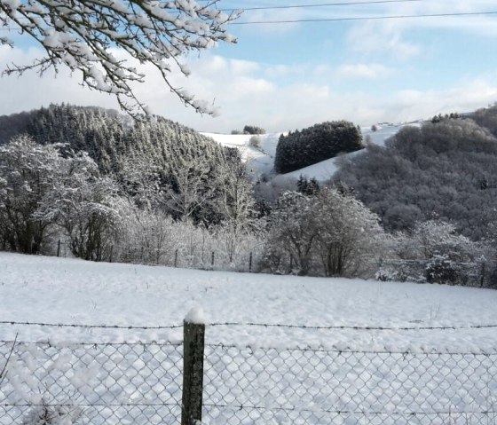 Landschaft, © Nordeifel Tourismus GmbH & Ferienwohnung Zur schönen Aussicht