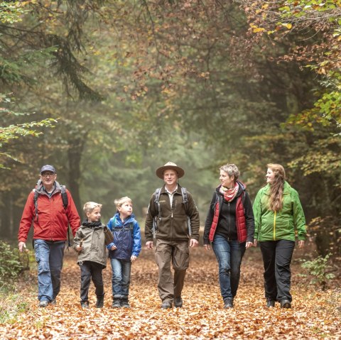 Rangertour im Nationalpark Eifel, Herbst, © Nationalpark Eifel, D. Ketz