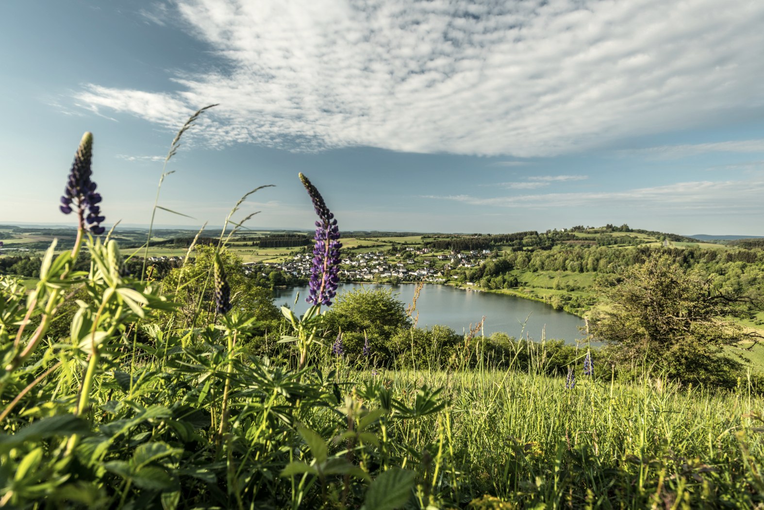 Blick auf das Schalkenmehrener Maar, © Eifel Tourismus GmbH, Dominik Ketz