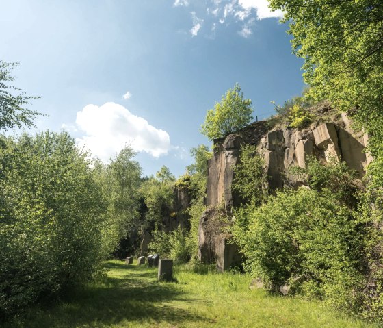 Vulkanparkstation Mayener Grubenfeld, Felswand, © Rheinland-Pfalz Tourismus GmbH, D. Ketz