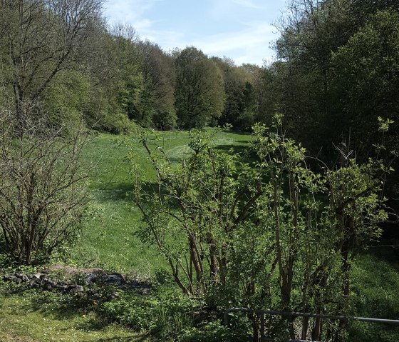 Ferienwohnung inmitten der Natur im Brohlbachtal, © Ferienwohnung in der Stegwiese