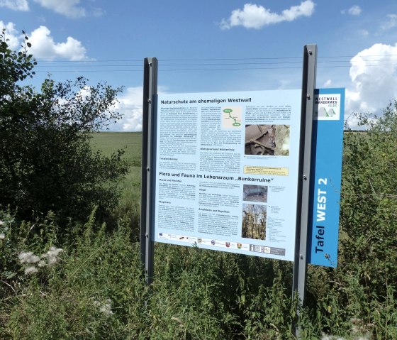 Tafel am Westwall-Wanderweg (West), © Tourist-Info Islek